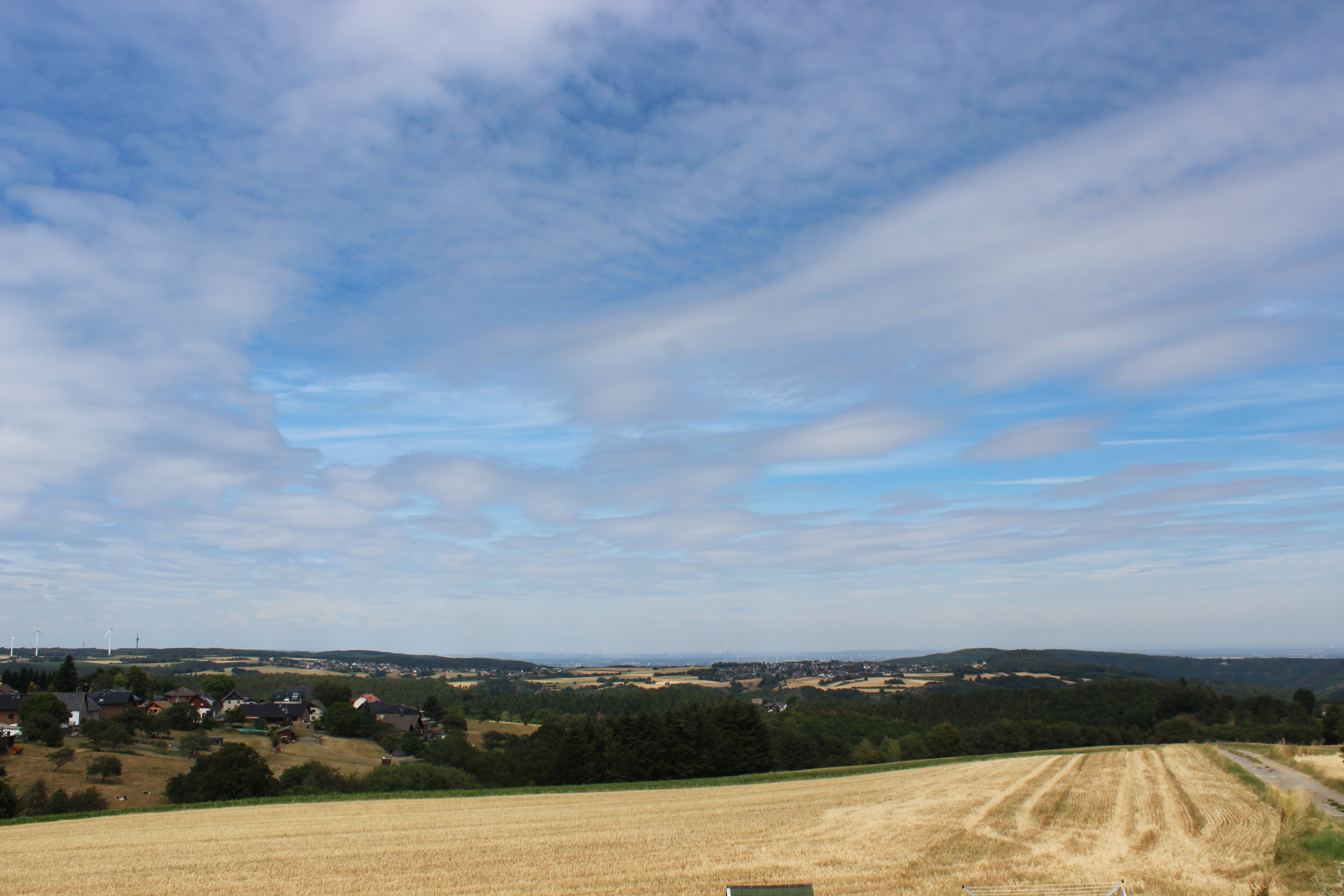 Autumn view